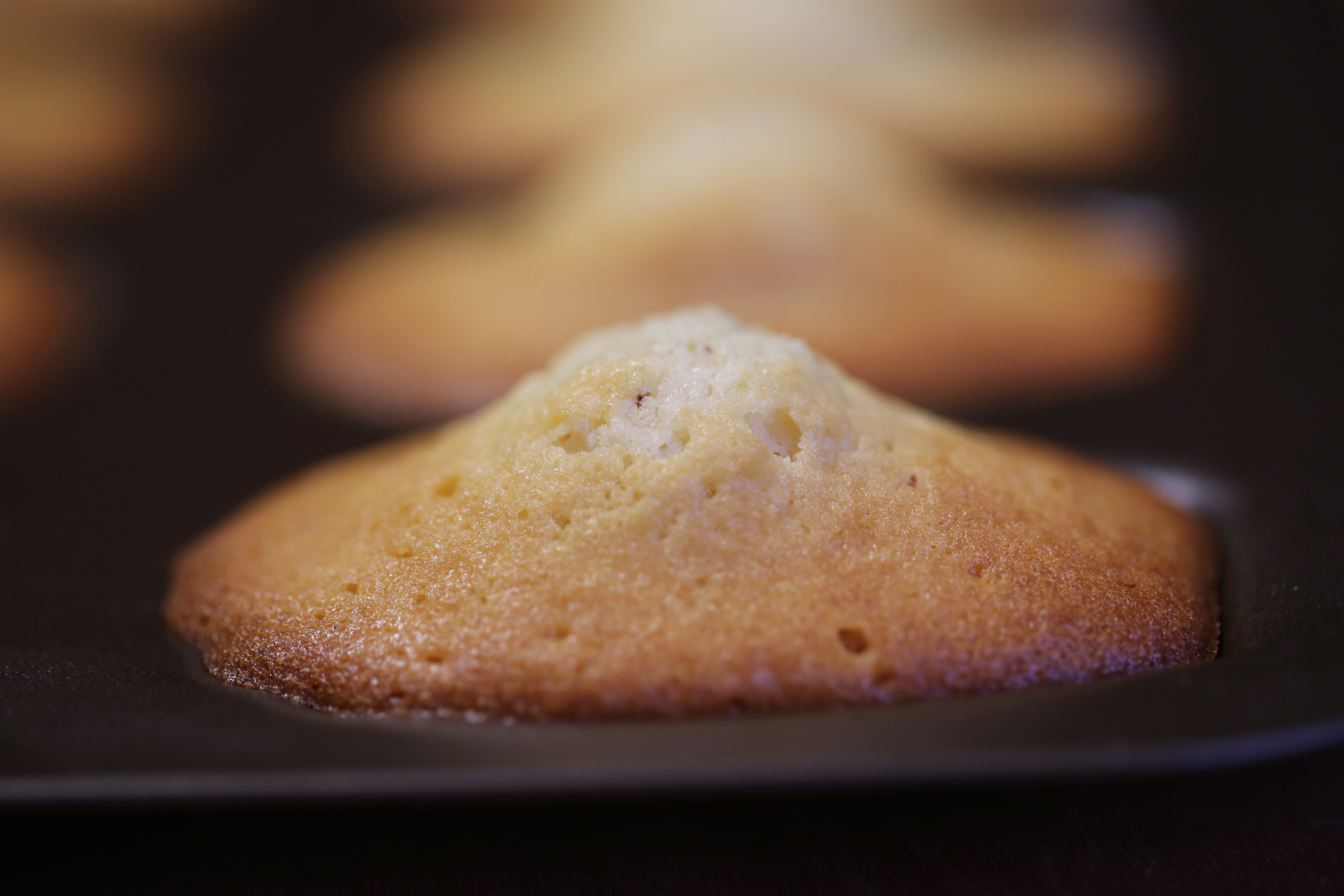 Madeleines au miel