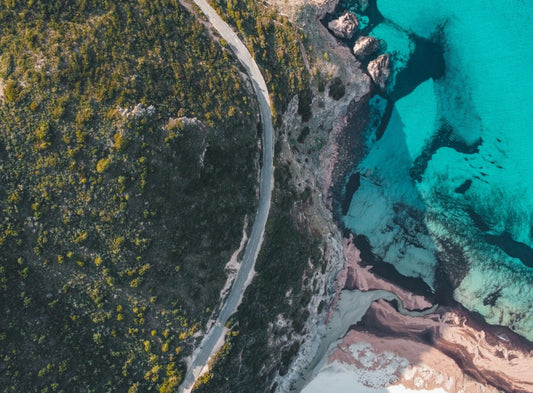 Miellat de Maquis Corse AOP